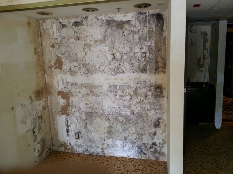 Quality Environmental Inc. provides mold remediation at a luxury hotel Image 1