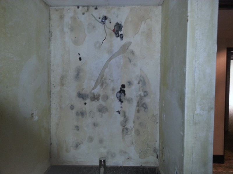 Quality Environmental Inc. provides mold remediation at a luxury hotel Image 2