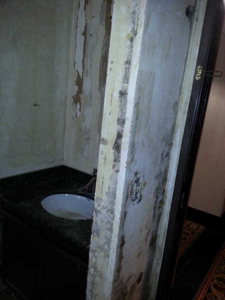 Quality Environmental Inc. provides mold remediation at a luxury hotel Image 4